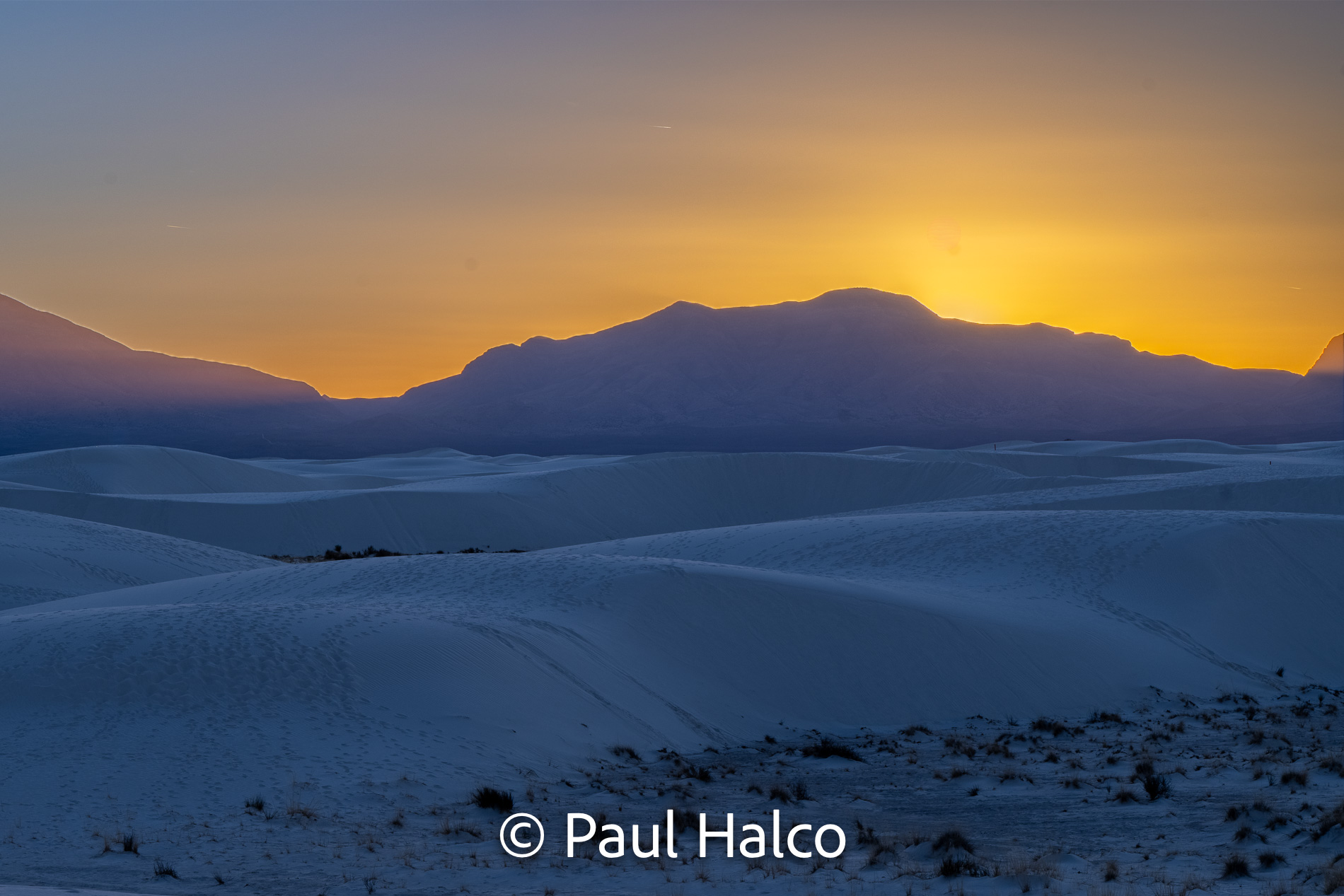 Paul Halco - White Sands NP-14